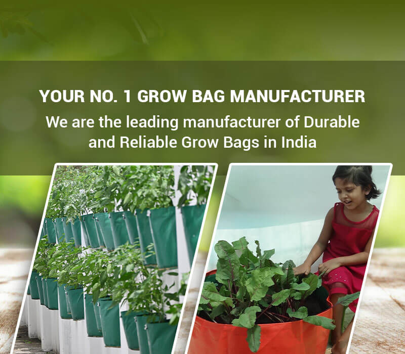 Plant Grow Bags in Coimbatore, Plant Grow Bag Supplier in Tamil Nadu, India