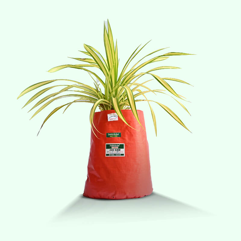 grow bags for growing flower
