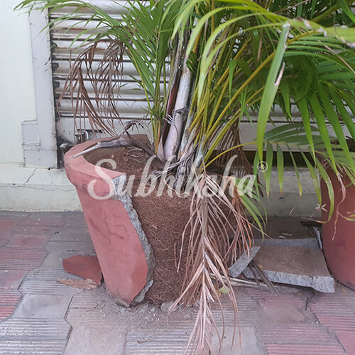 Best lightweight grow bags in Erode